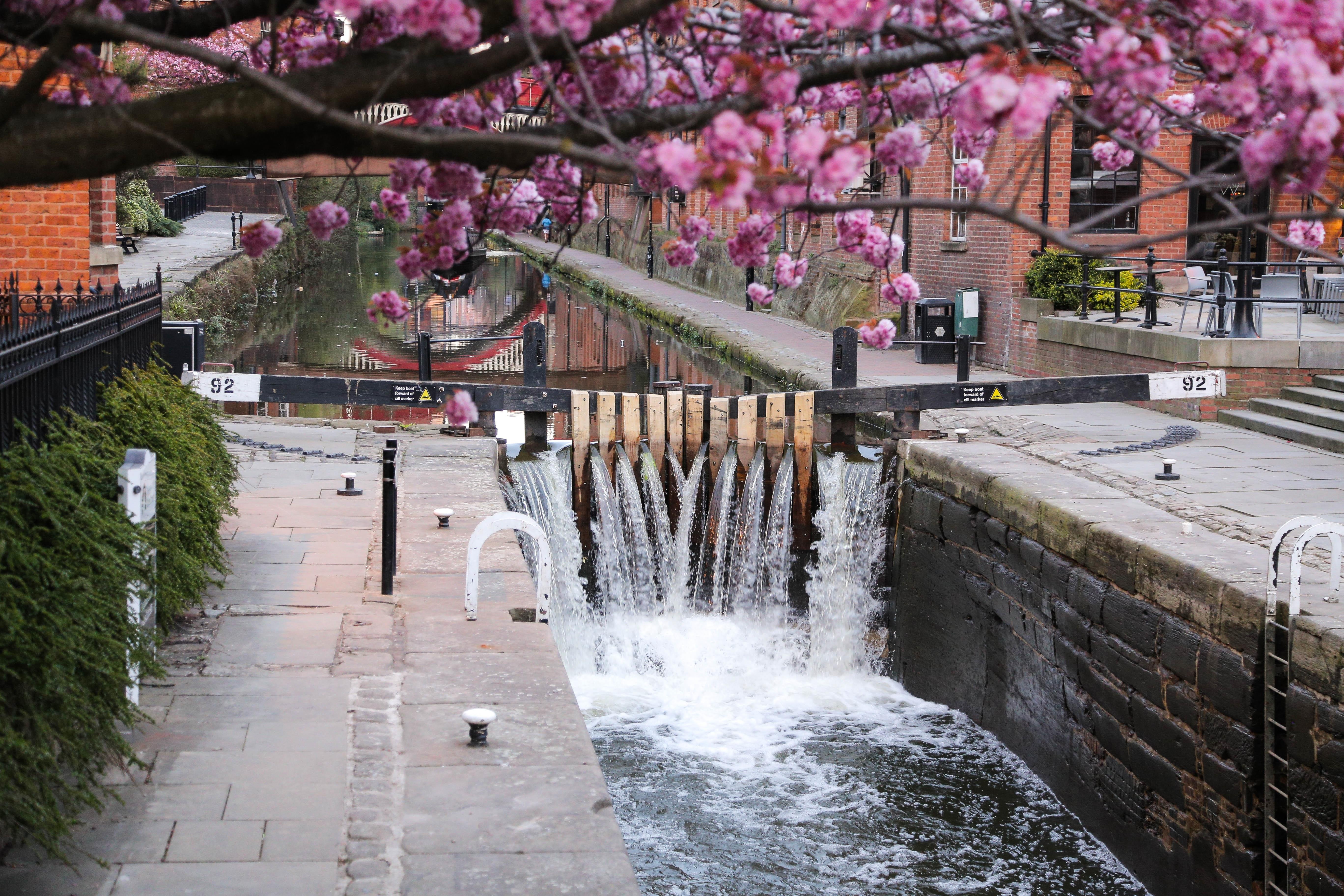 hoang hon tai Anh anh 8