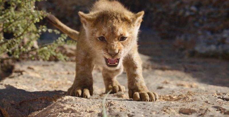 đàm phán Mỹ - Trung ảnh 2 dam phan My - Trung anh 2