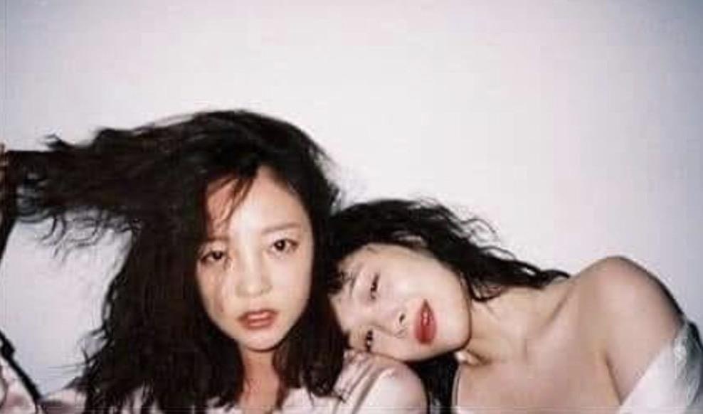 Nu nghe si bi chi trich vi dang anh Sulli va Goo Hara hinh anh