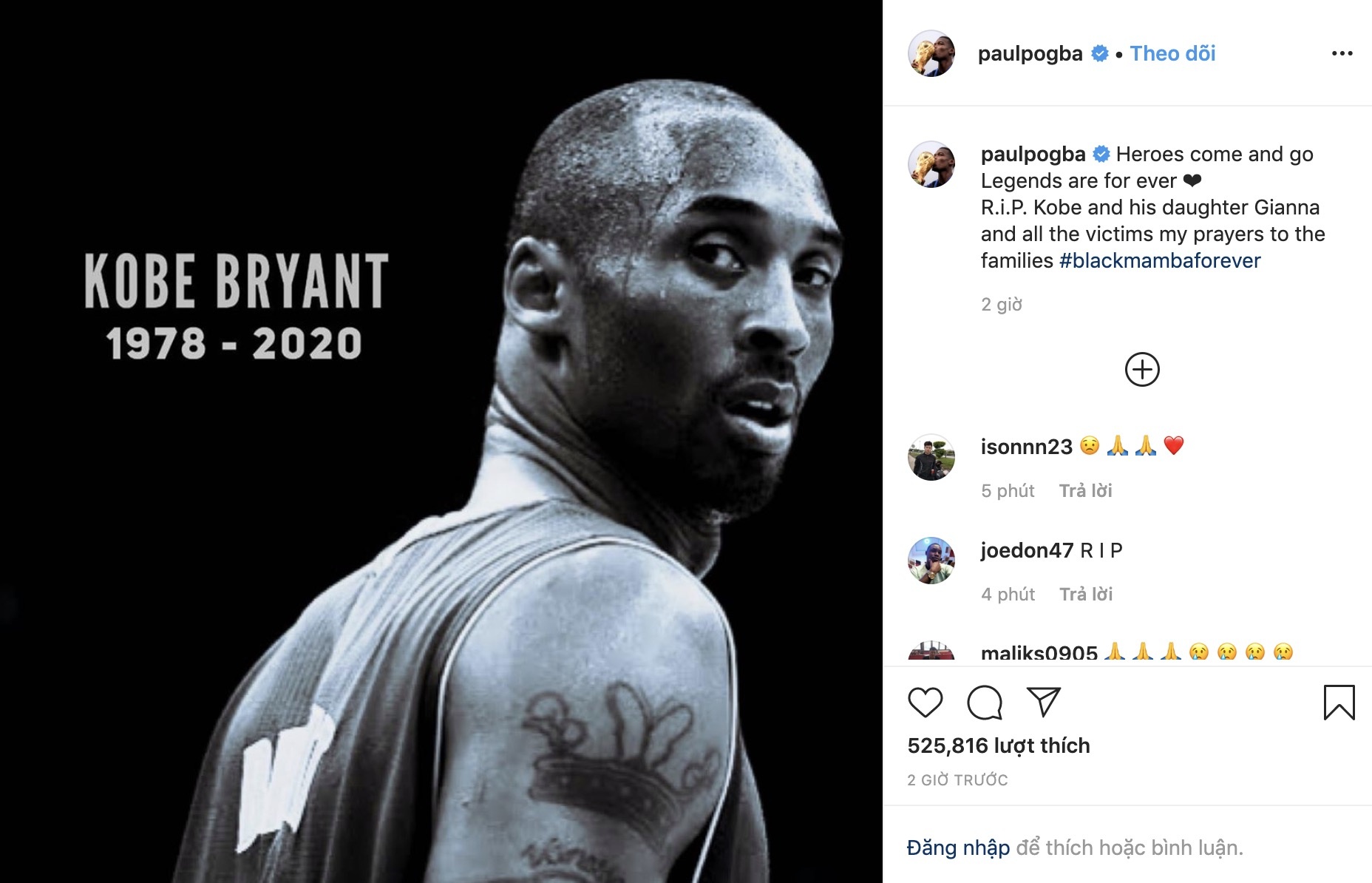 Kobe Bryant qua doi anh 6