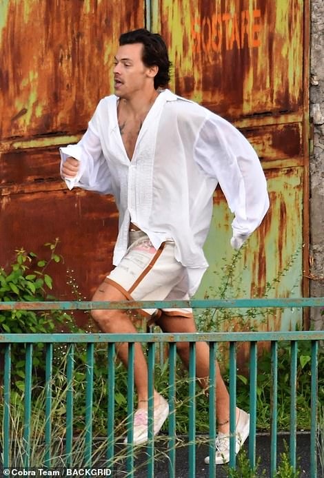 Harry Styles ảnh 1 Harry Styles anh 1