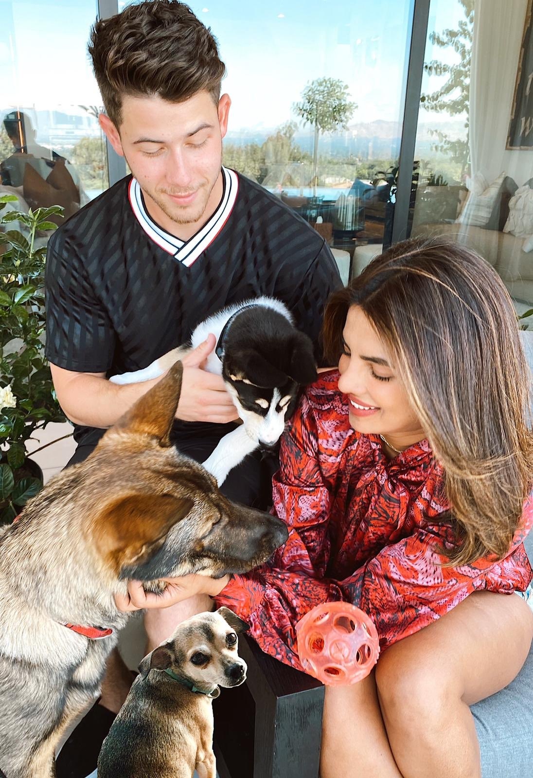 thú cưng của sao ảnh 5 thu cung cua sao anh 5