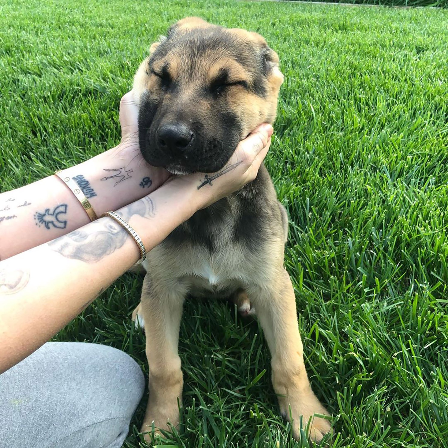 thú cưng của sao ảnh 16 thu cung cua sao anh 16