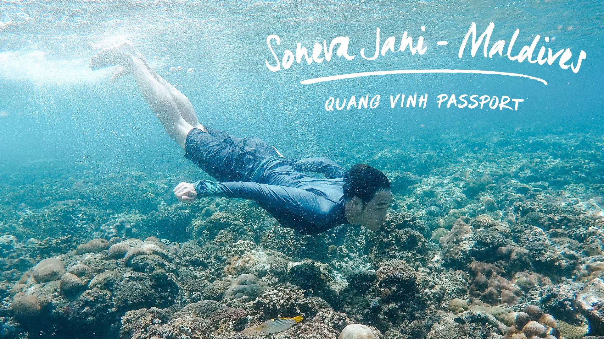 Ca si Quang Vinh di du lich anh 1