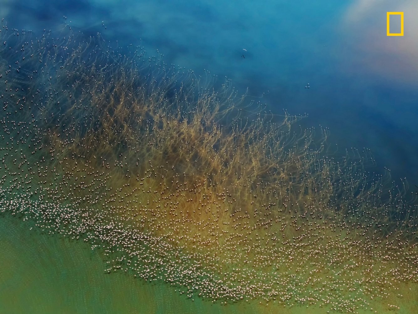 Anh du lich nghe thuat National Geographic anh 2