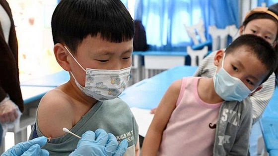 Hieu dung ve viem gan cap chua ro nguyen nhan hinh anh