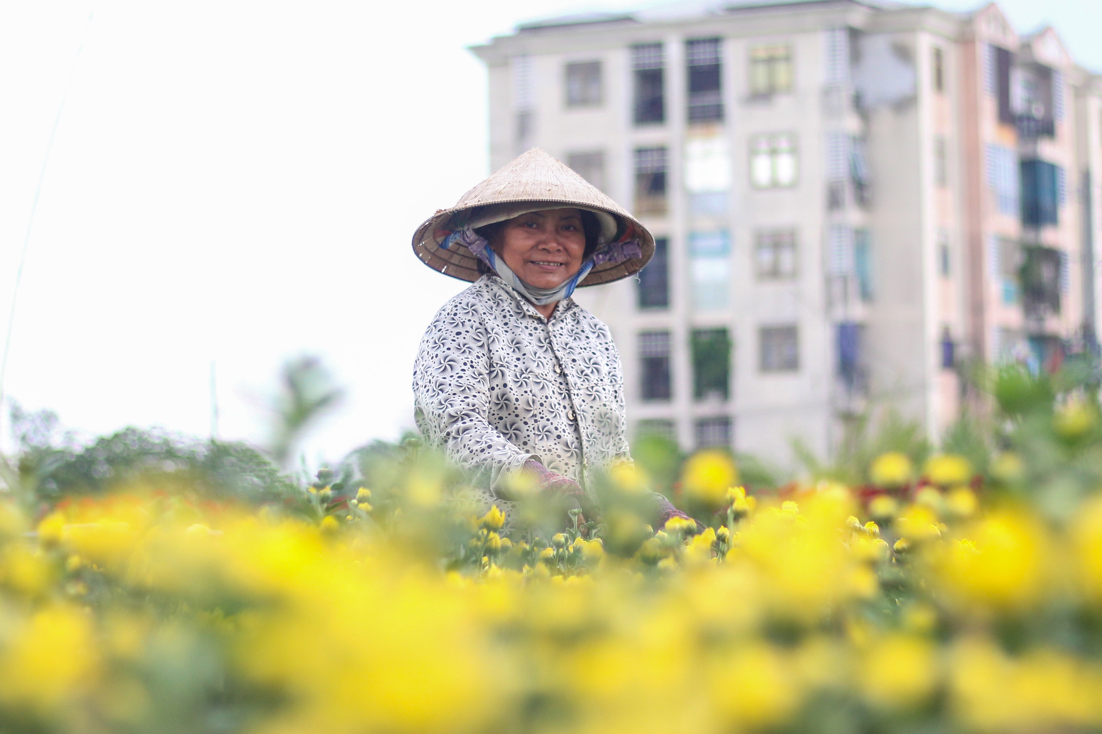 Nguoi trong hoa Tet o Sai Gon phan khoi vi thoi tiet ung ho hinh anh