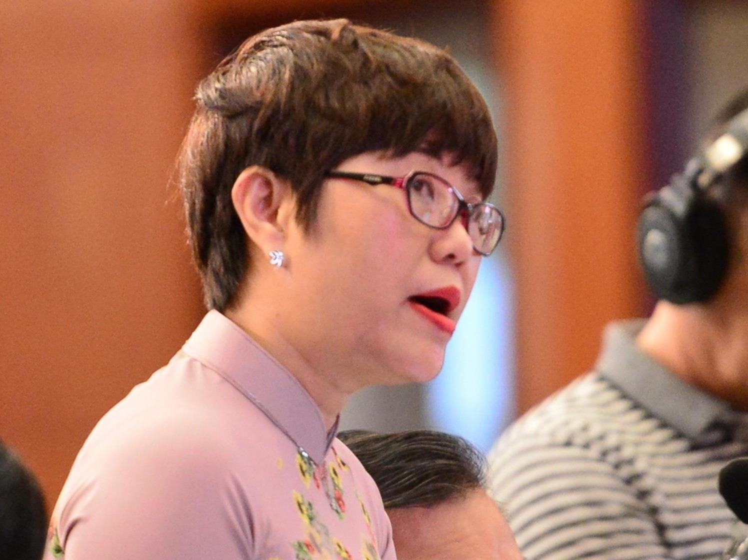 Dai bieu TP.HCM de nghi truy trach nhiem xu ly tin dung den hinh anh