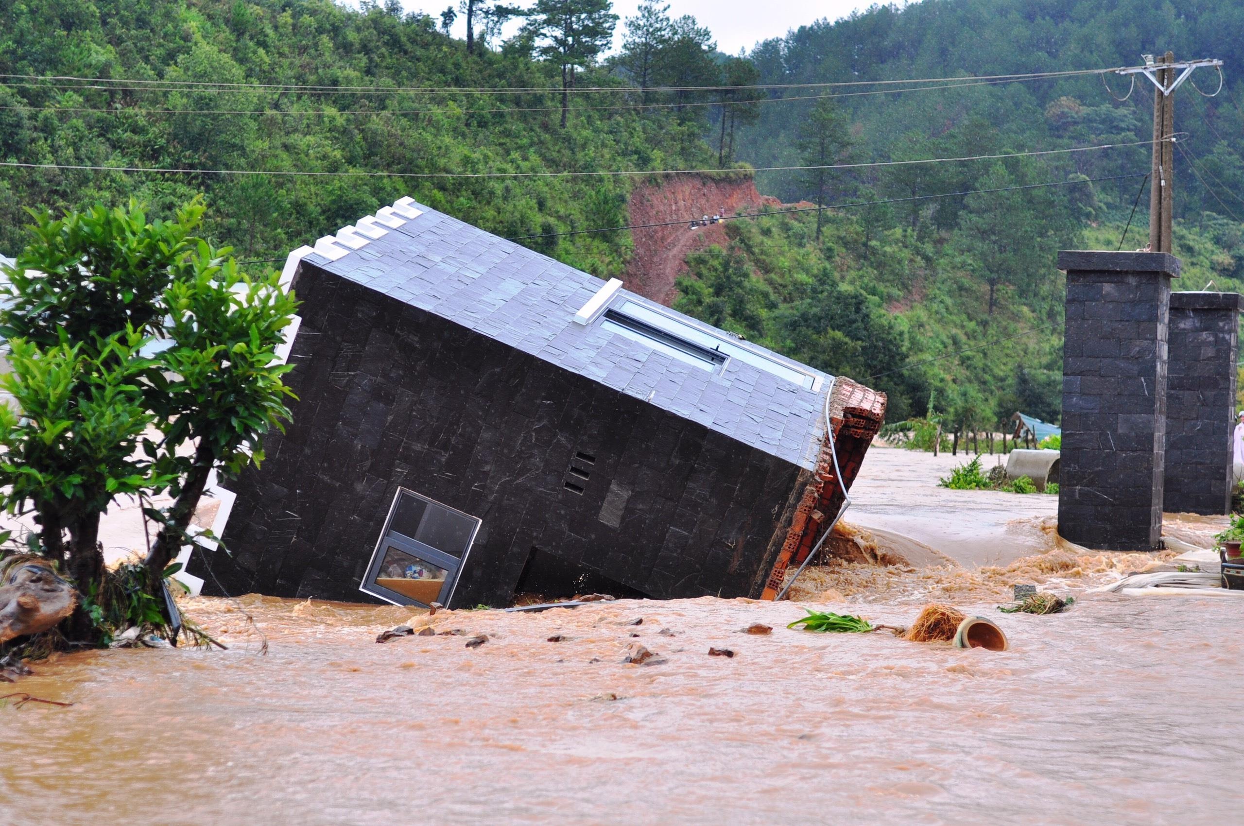 Mua lon tai Da Lat Lam Dong anh 3