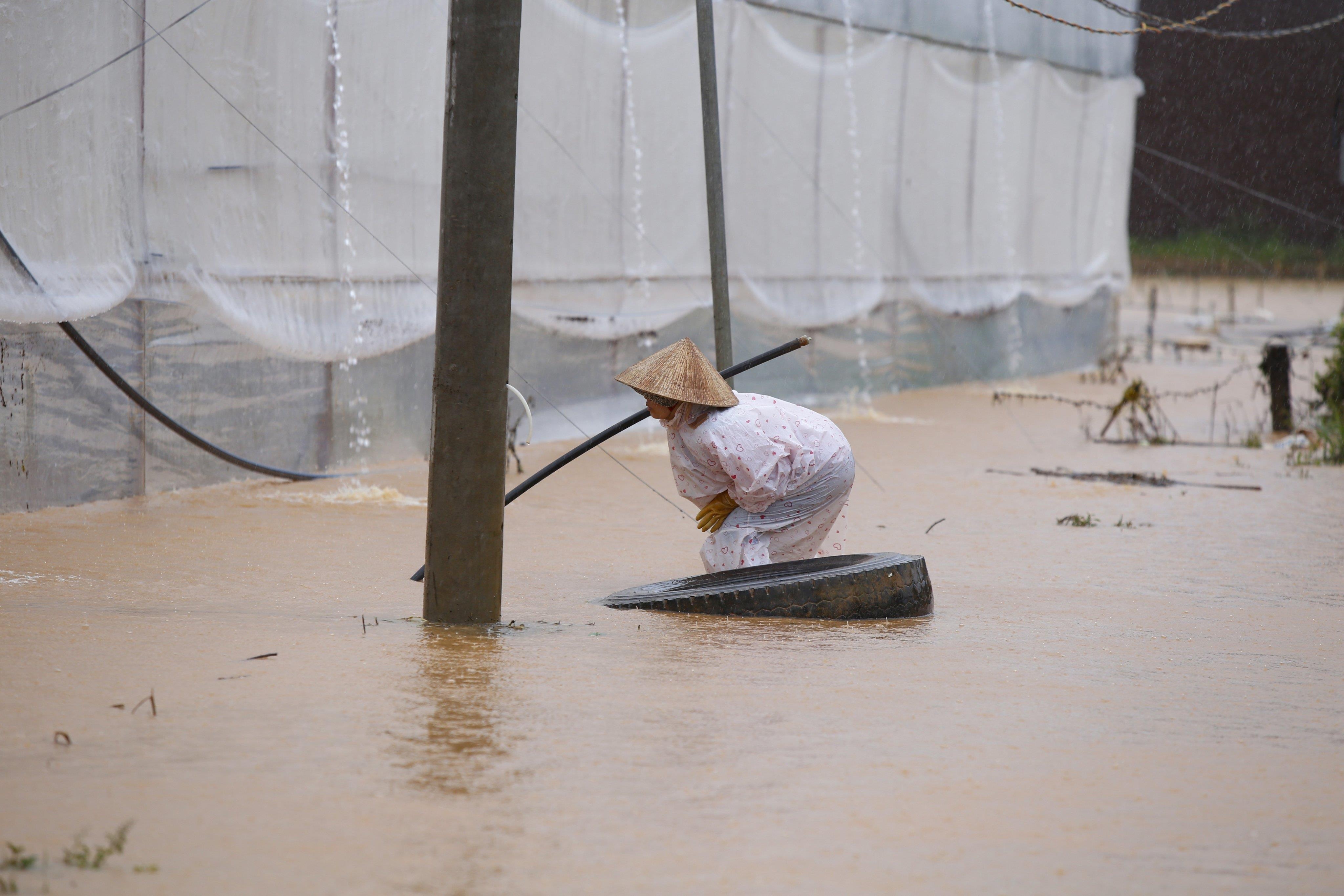 Mua lon tai Da Lat Lam Dong anh 8