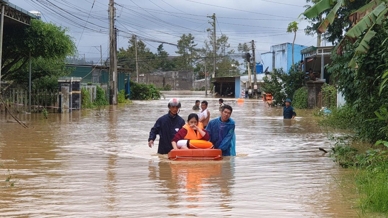Mua lon tai Da Lat Lam Dong anh 10