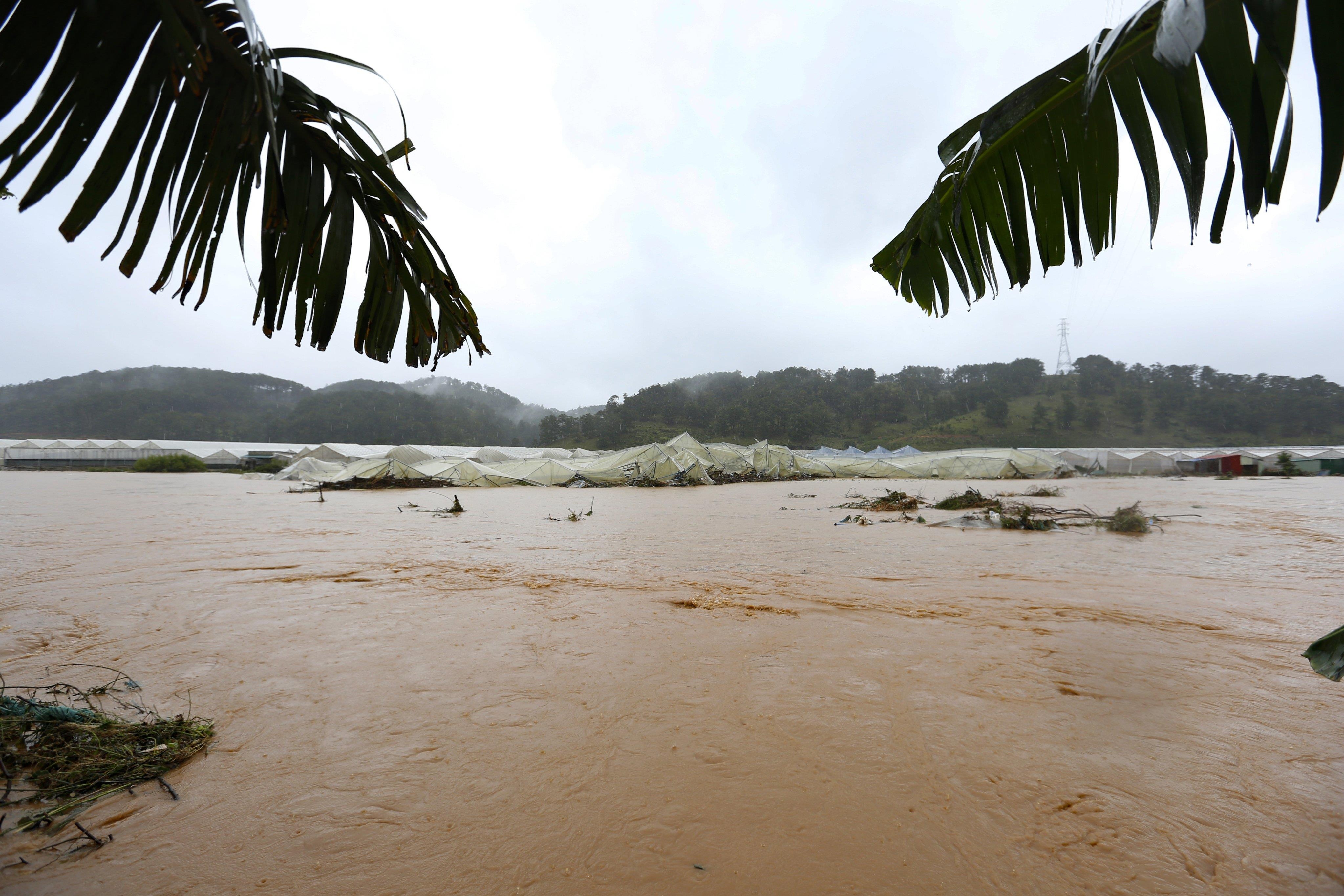 Mua lon tai Da Lat Lam Dong anh 6