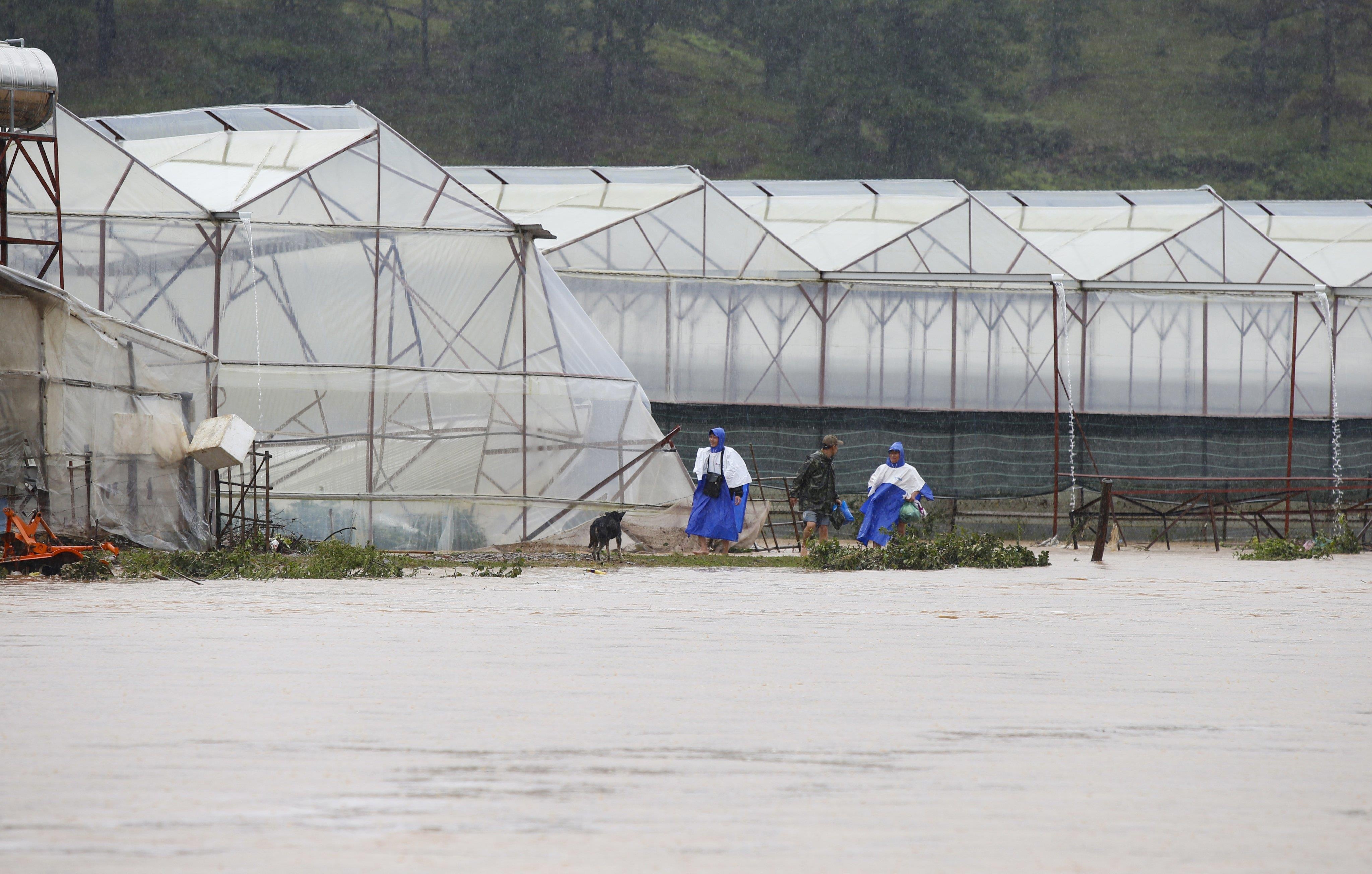 Mua lon tai Da Lat Lam Dong anh 4