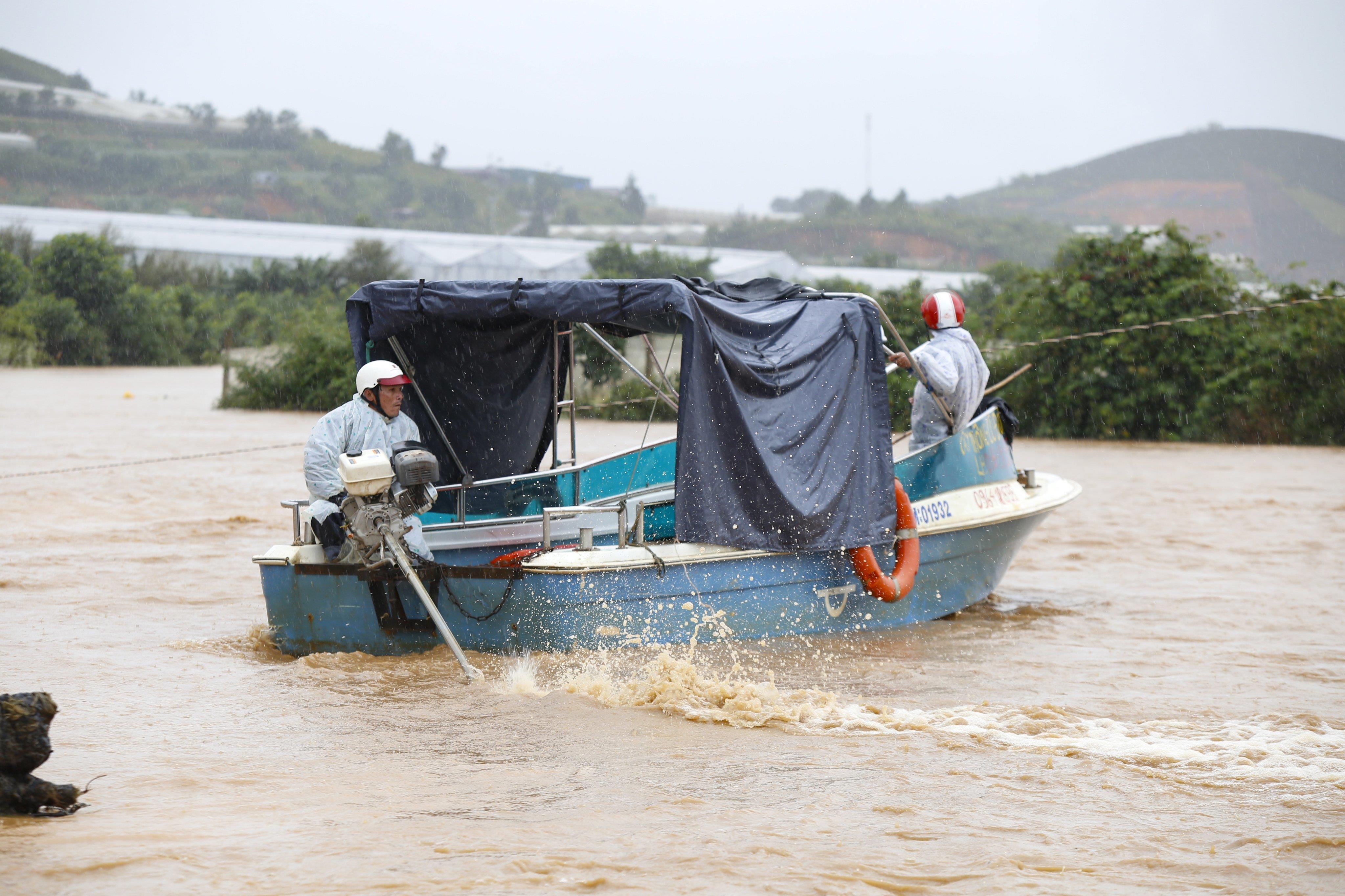 Mua lon tai Da Lat Lam Dong anh 5