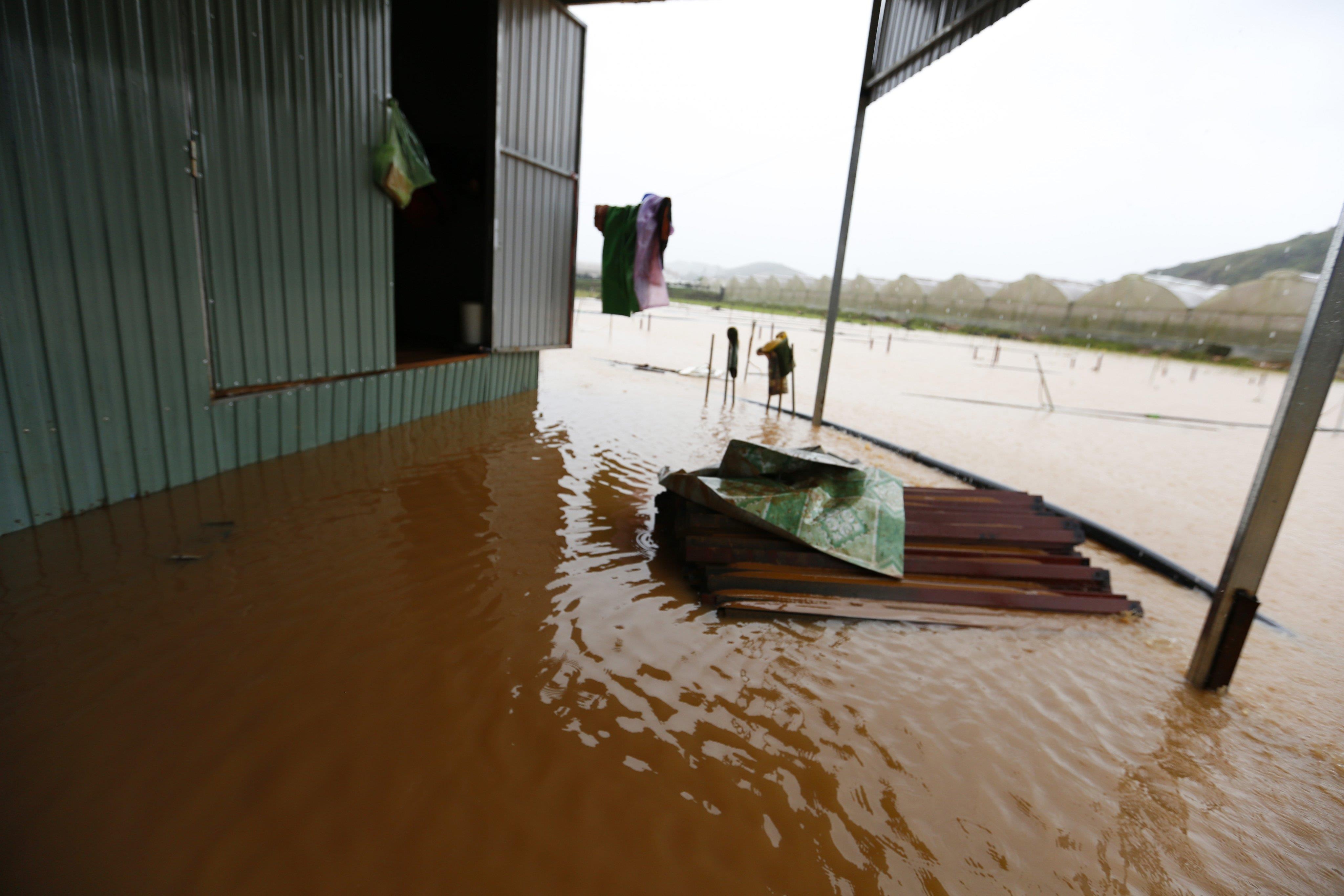 Mua lon tai Da Lat Lam Dong anh 11