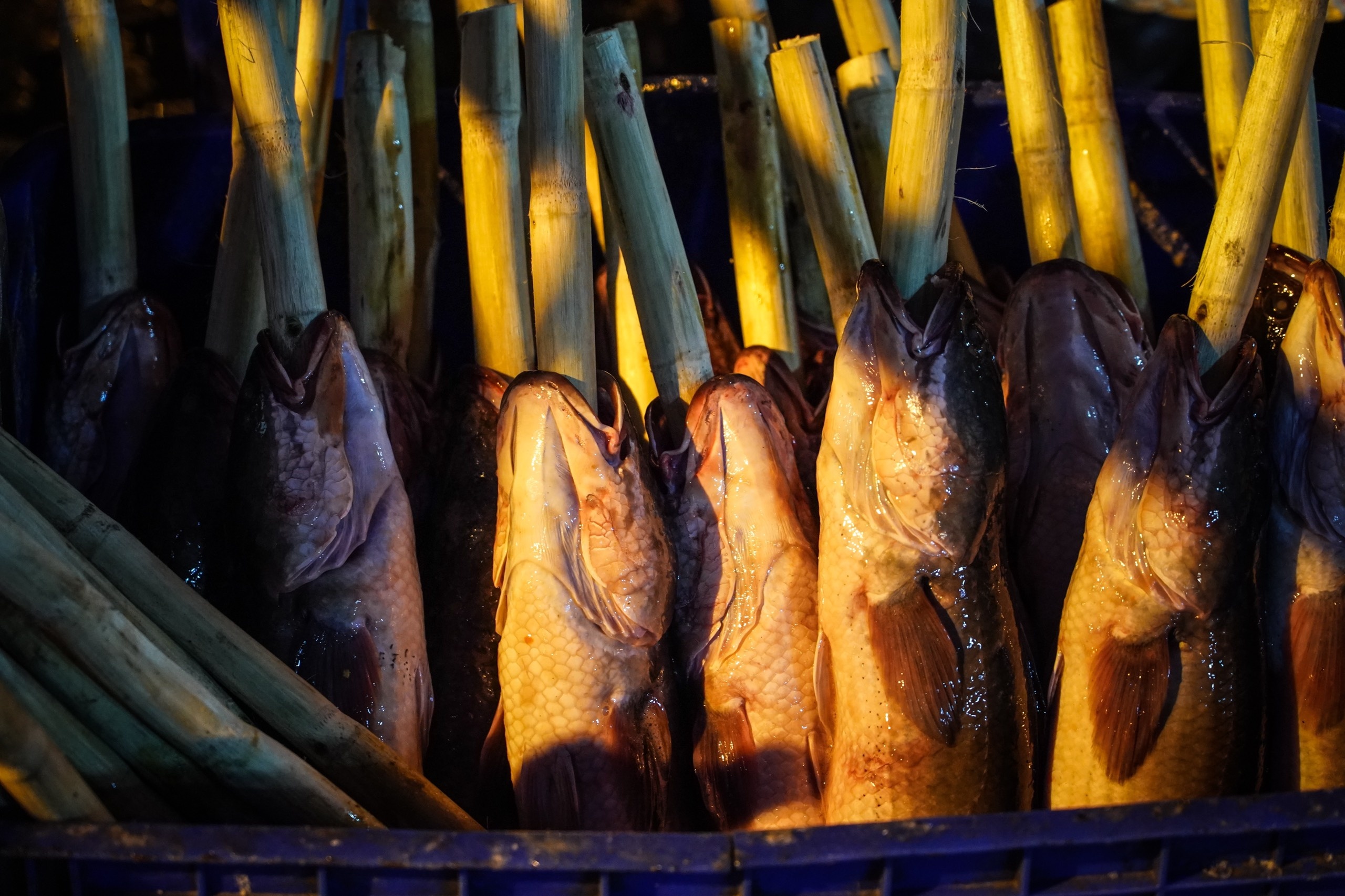 Ngay via Than tai anh 6