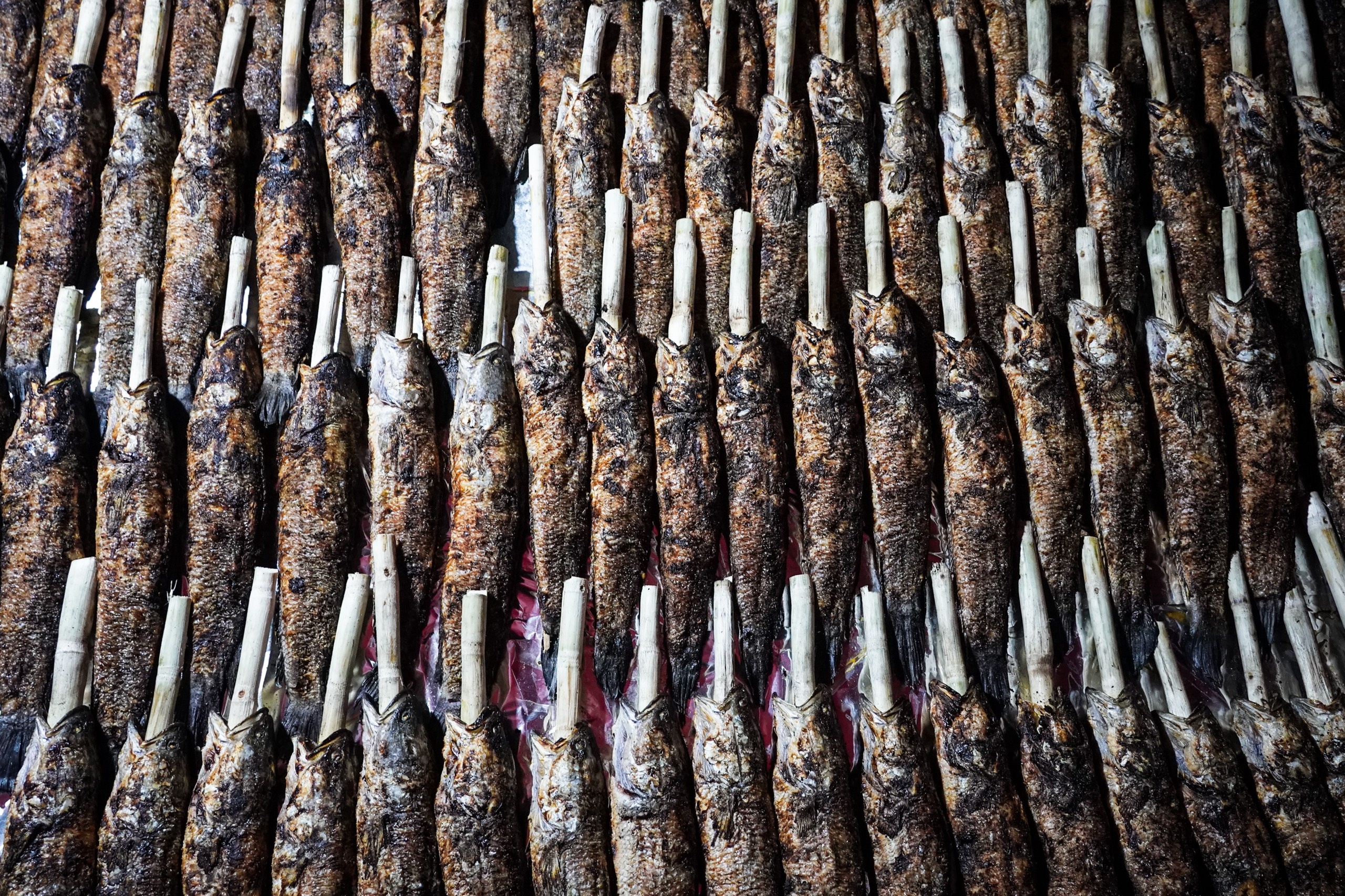 Vi sao cung ca loc nguyen con nuong trui ngay Than Tai o mien Nam hinh anh