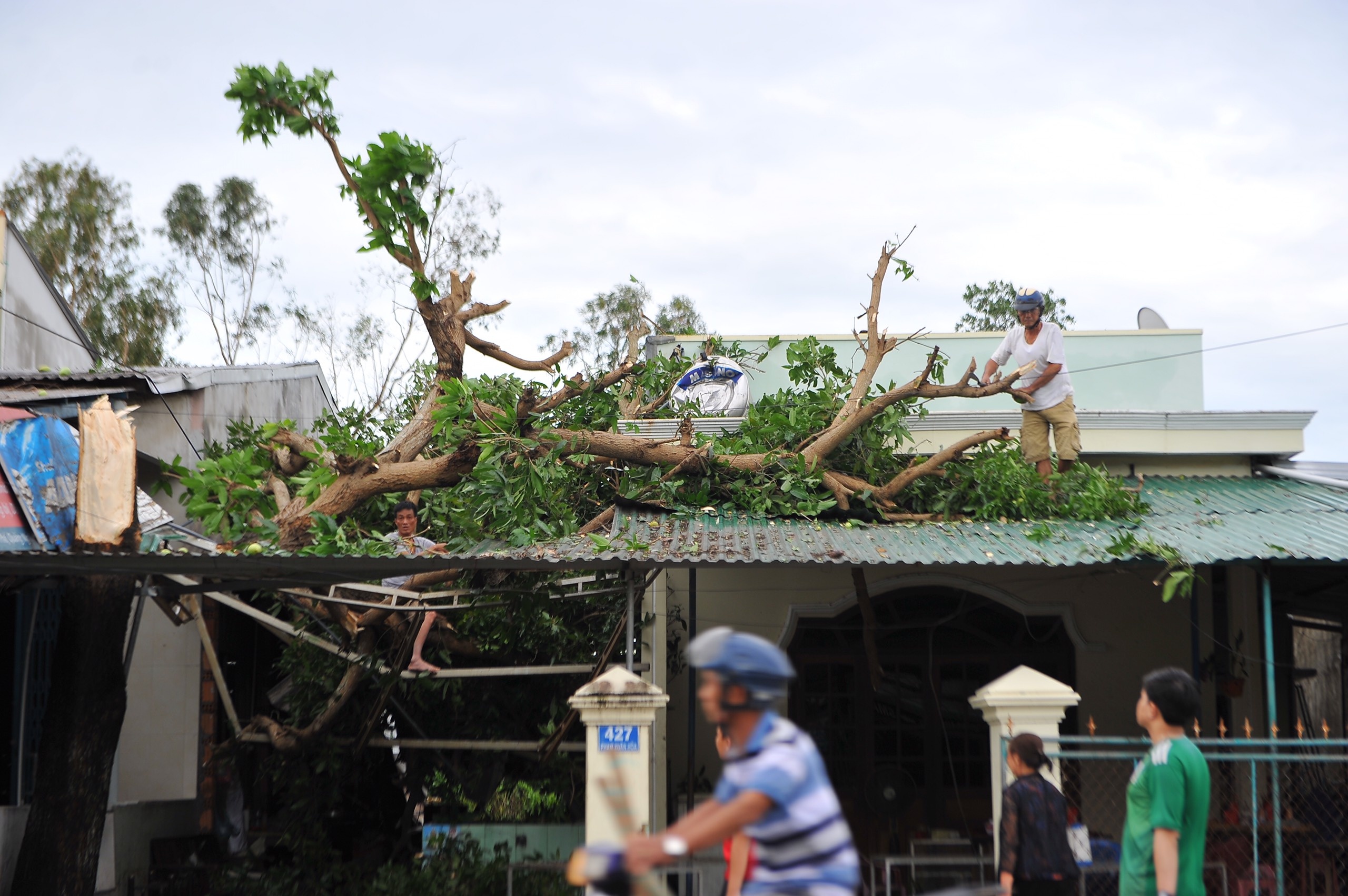 'Bao so 9 do bo, vo chong toi chui vao nha tam de tru' hinh anh