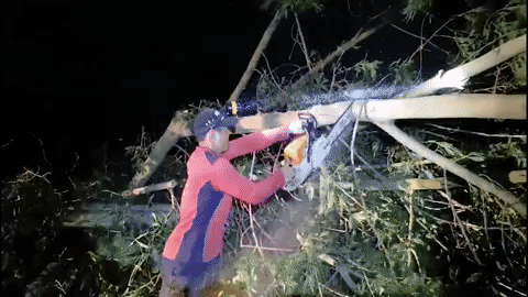 Cong an don cay do tren quoc lo 1 sau bao hinh anh