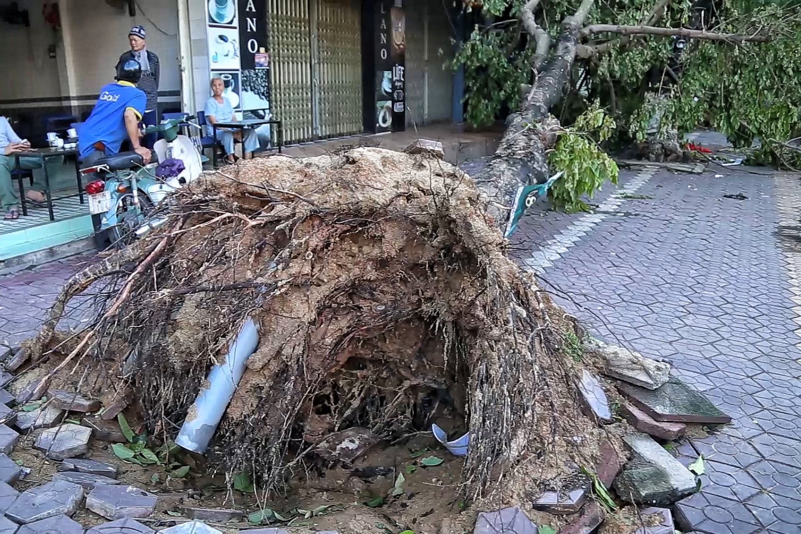 Nguoi dan Quang Ngai khac phuc hau qua bao so 9 hinh anh