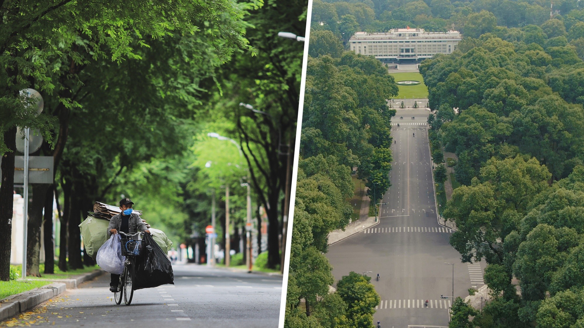 Canh vang ve o TP.HCM nhung ngay gian cach xa hoi hinh anh