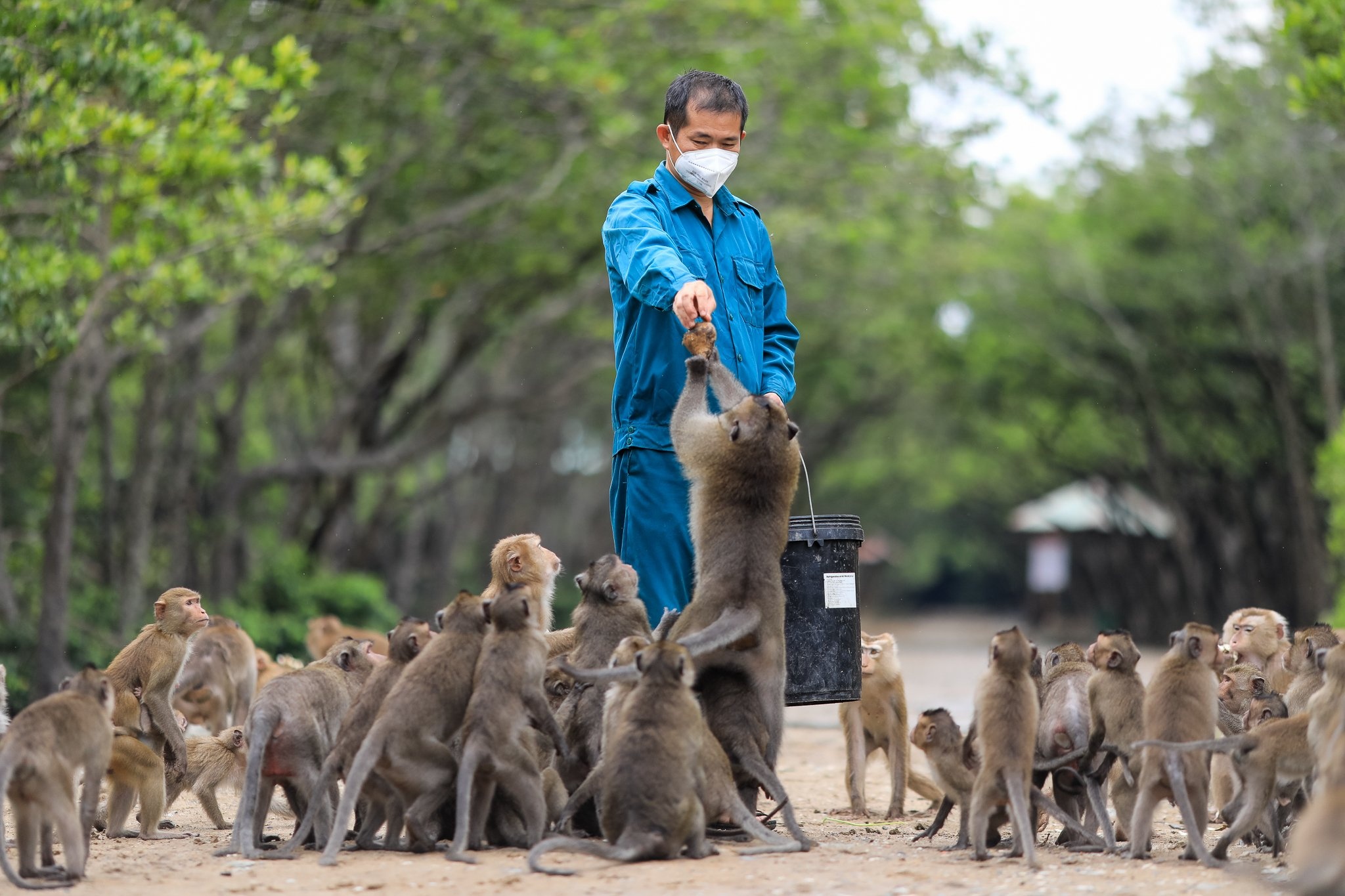 Khu du lich Vam Sat, Dao khi o Can Gio san sang don khach hinh anh