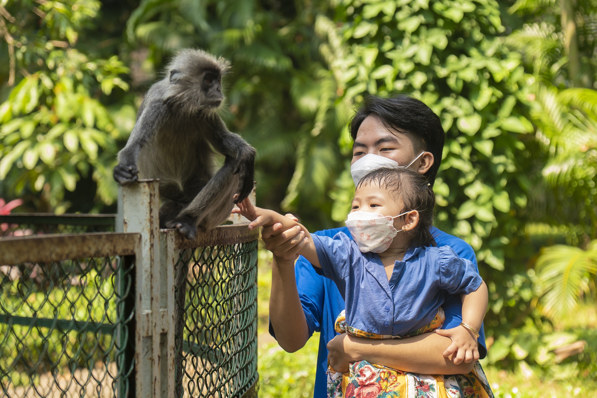 Thao Cam Vien nhon nhip ngay dau mo cua tro lai hinh anh