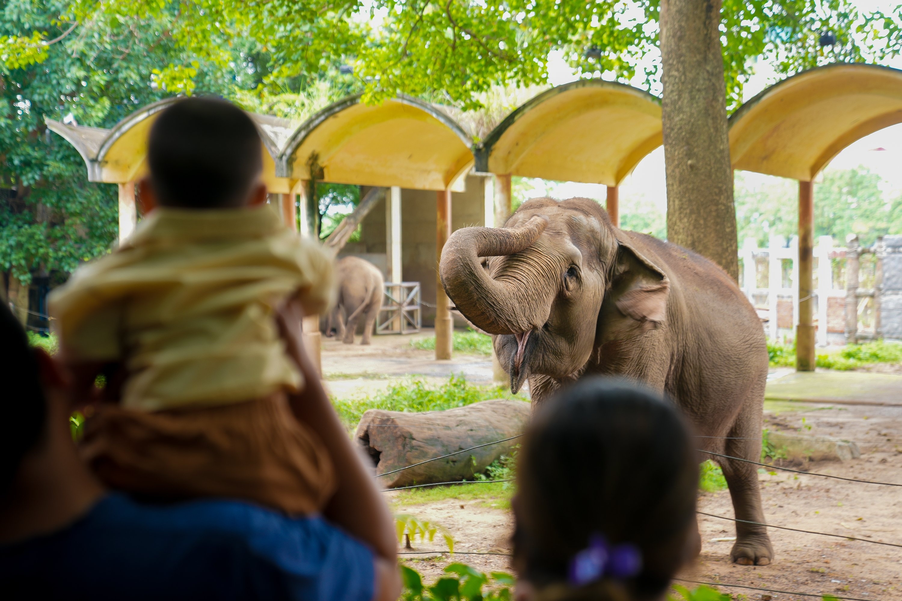 Thao Cam Vien chat kin nguoi dip Quoc khanh hinh anh