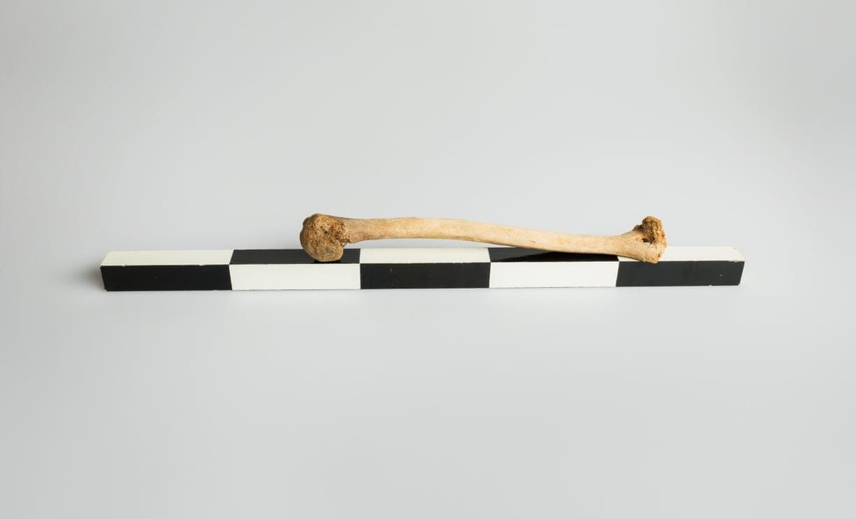 Bang tan bao dong vi bien doi khi hau anh 3