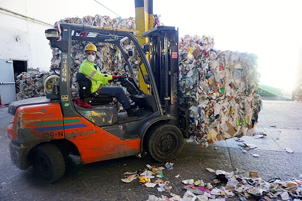 Vua rac David Duong anh 2