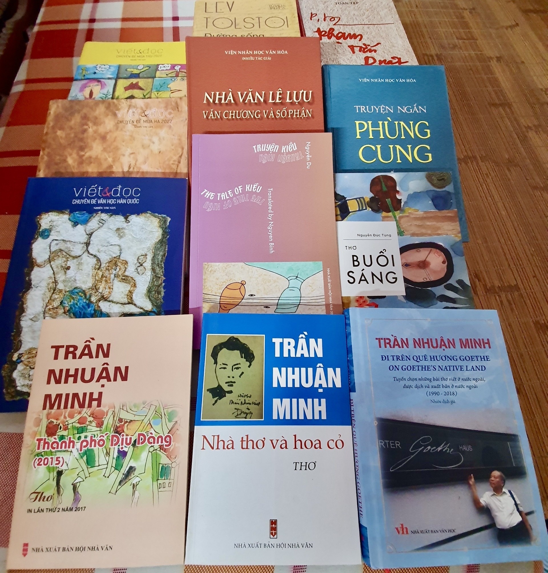 Tran Nhuan Minh anh 2