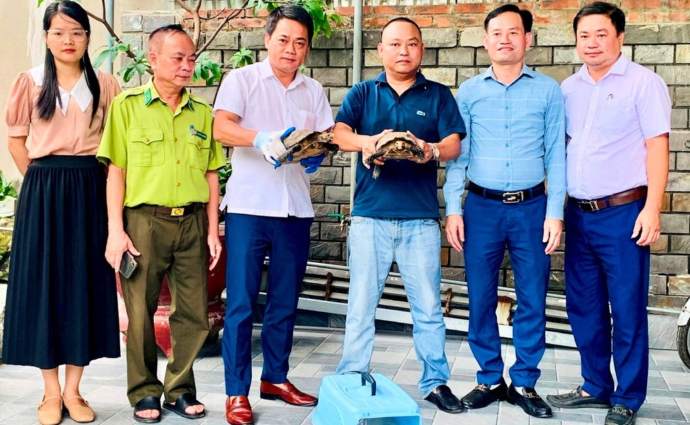 Hai ca the rua quy hiem bo qua duong o Ha Tinh hinh anh