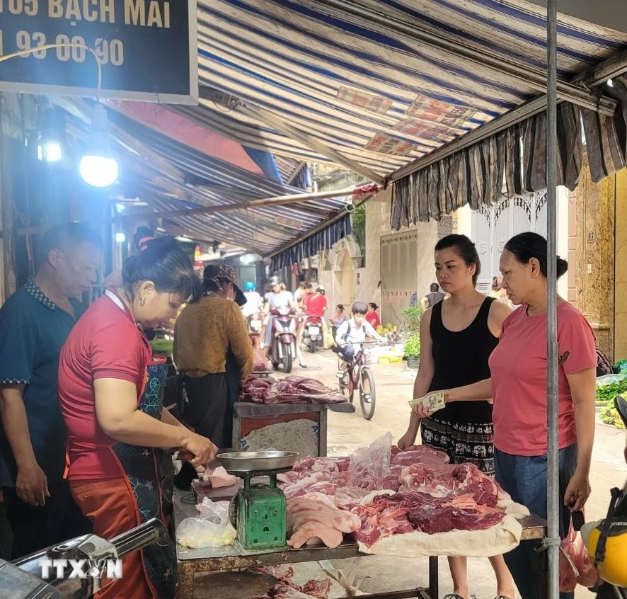 Thu tuong Pham Minh Chinh anh 1