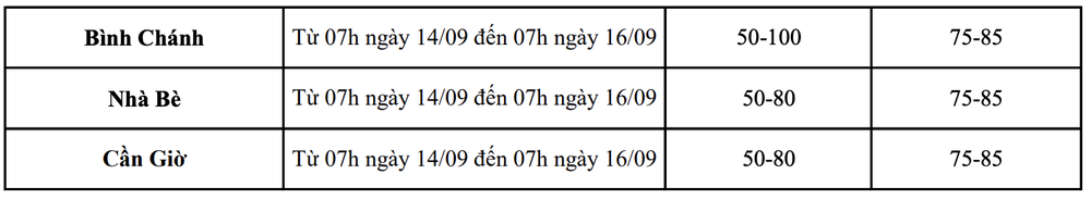 Mua lon TP.HCM anh 3