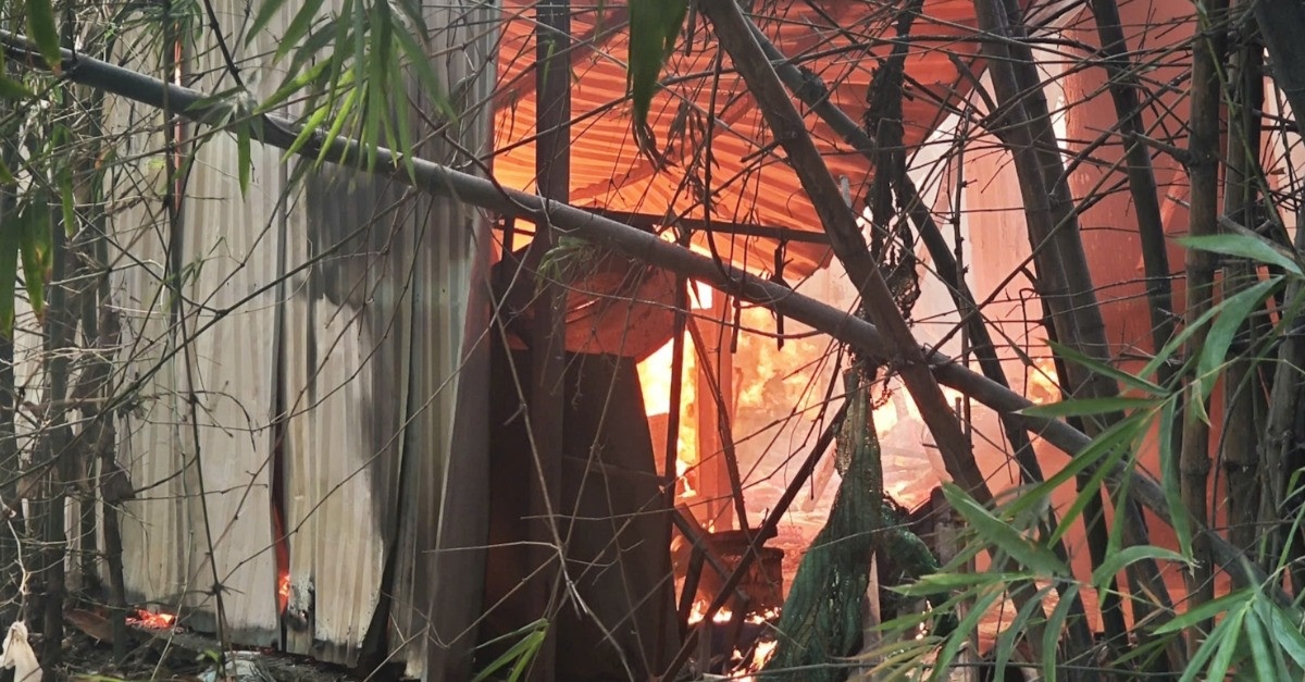 Chay lon o xuong go tai TP Thu Duc hinh anh