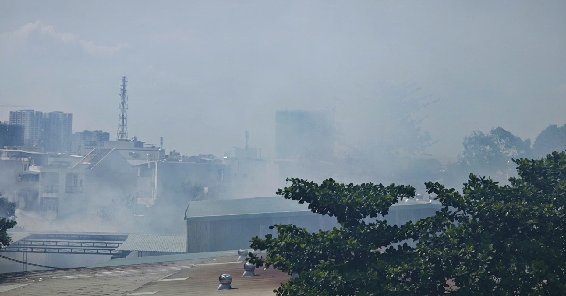 Chay xuong go Thu Duc anh 2