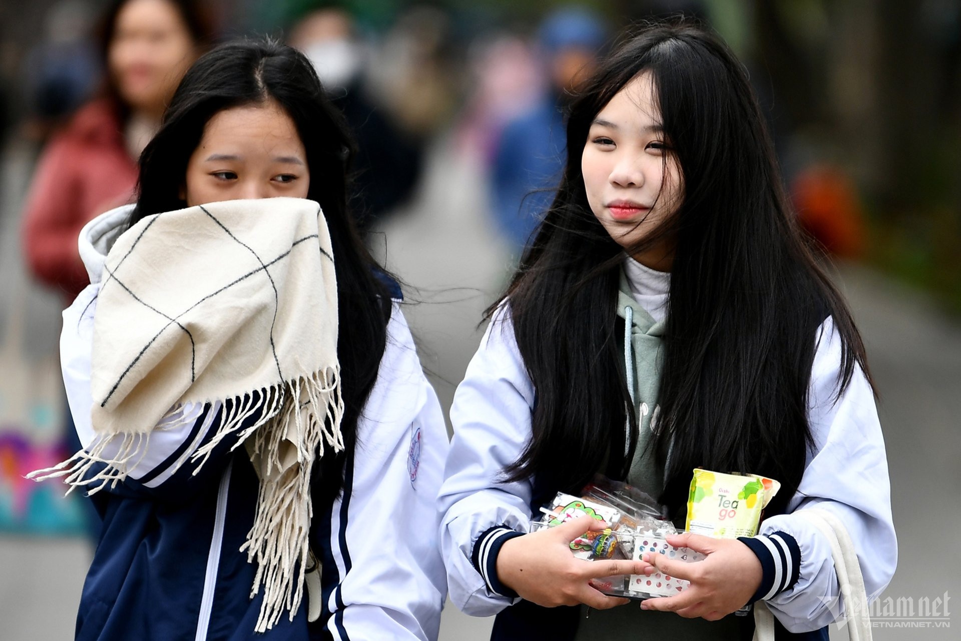 Mien bac don lanh anh 1