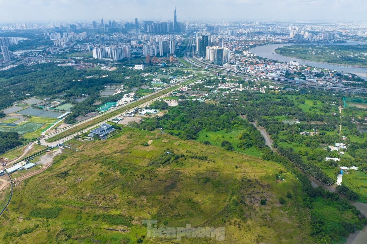 du an nghin ty anh 8