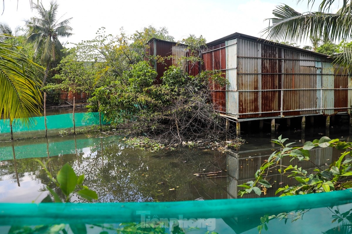 du an nghin ty anh 10