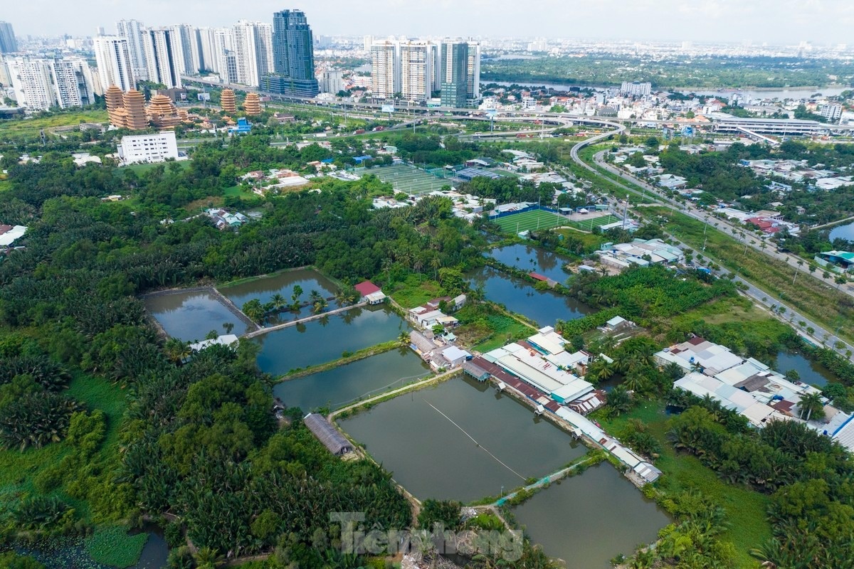 du an nghin ty anh 9