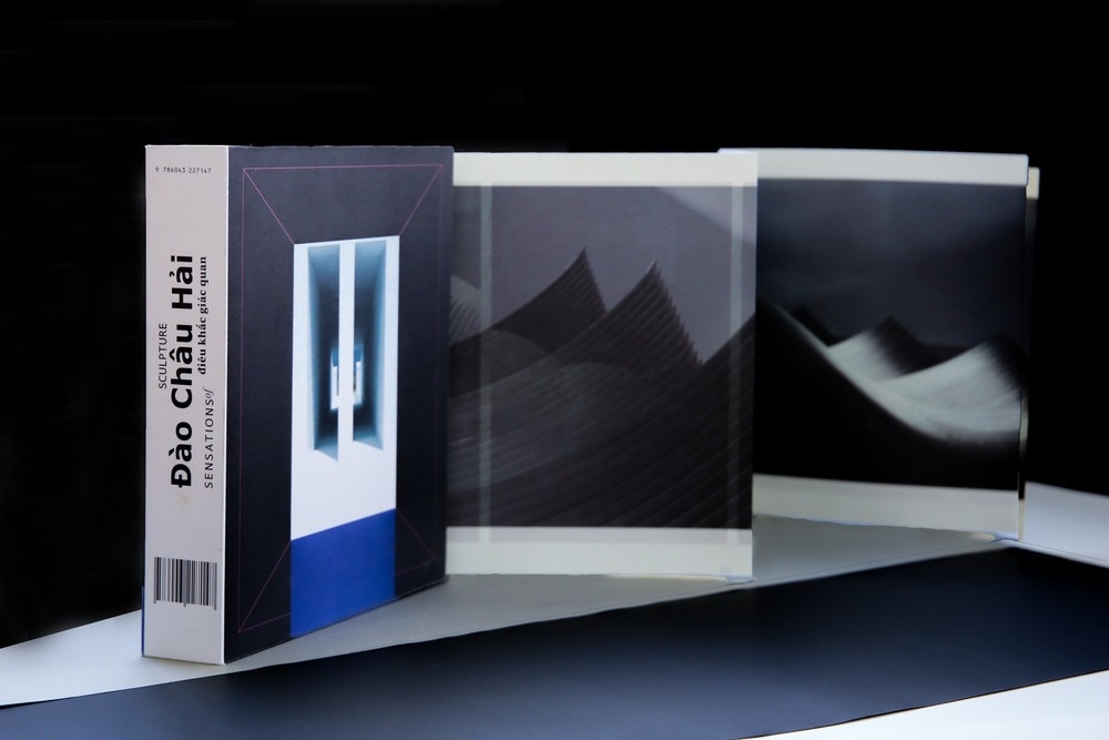 An ban sach nghe thuat ho gay lan dau tien duoc thuc hien tai Viet Nam hinh anh