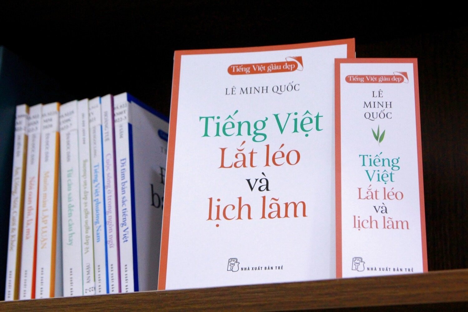'Du la nguoi Viet nhung chac gi chung ta co the hieu het tieng Viet?' hinh anh