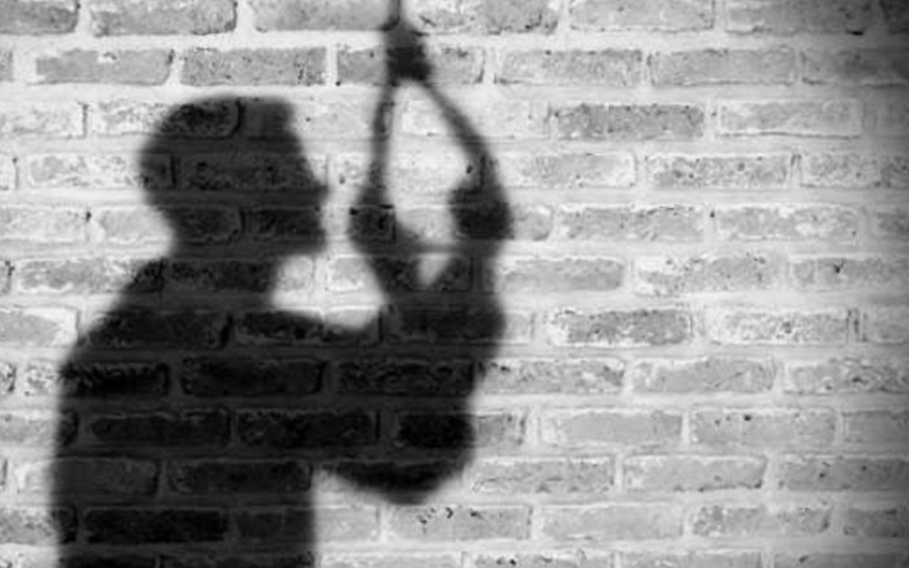 Chu phong gym tu vong tren cay sau rieng hinh anh