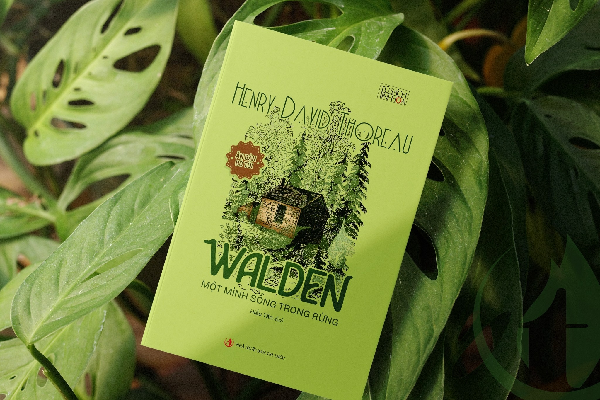 Walden anh 1