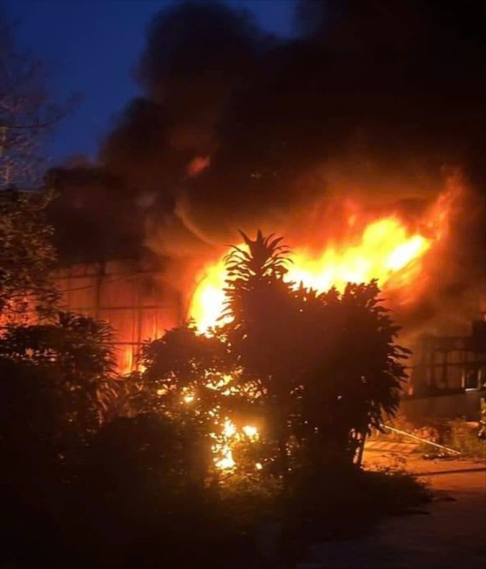 Chay Di Linh Lam Dong anh 1