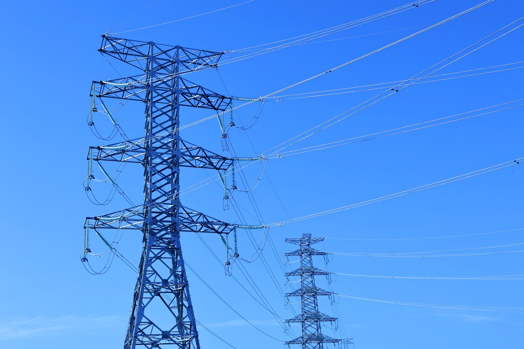 Thu tuong Pham Minh Chinh anh 10