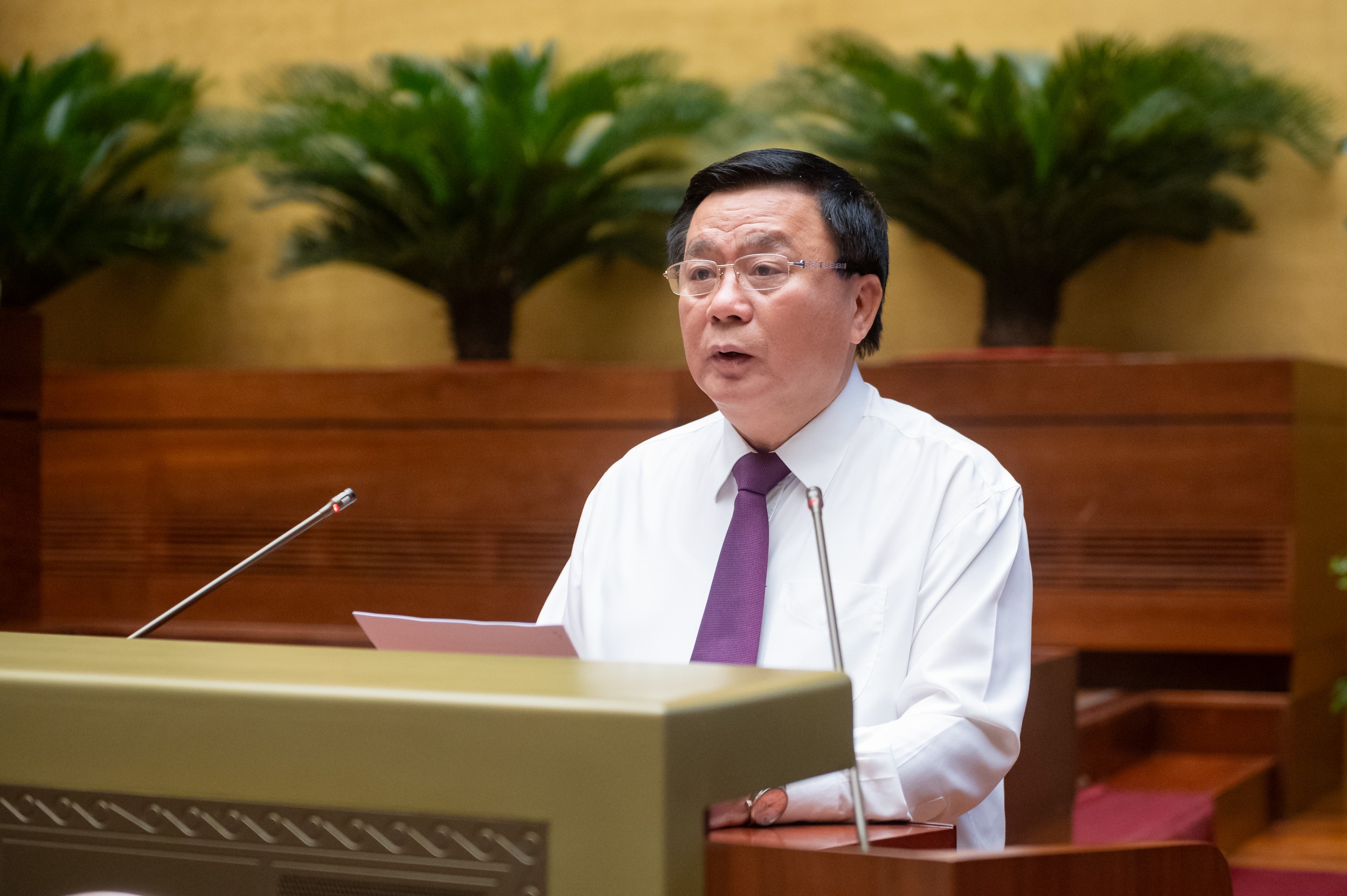 Tran Thanh Man anh 3