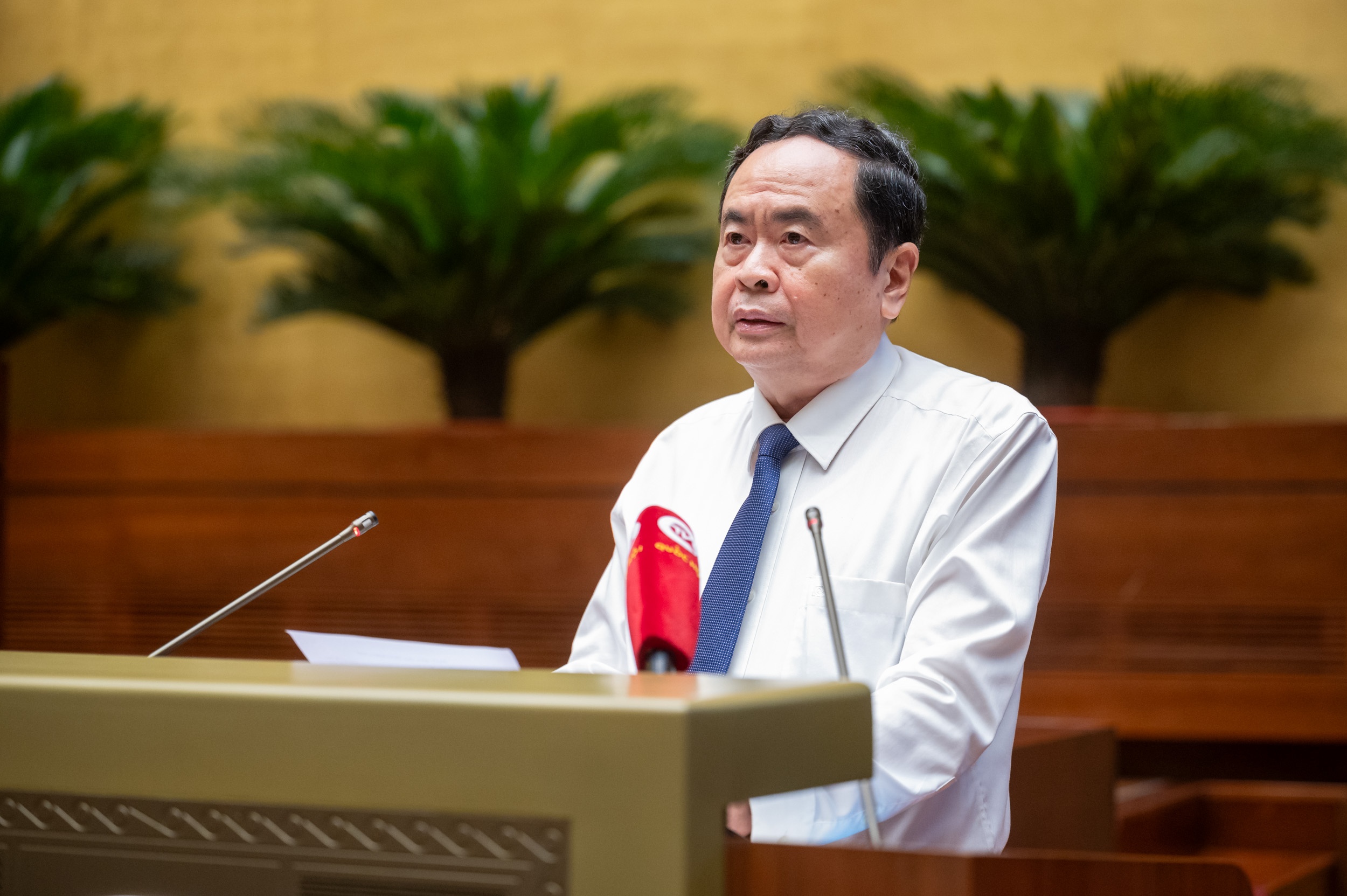 Tran Thanh Man anh 4