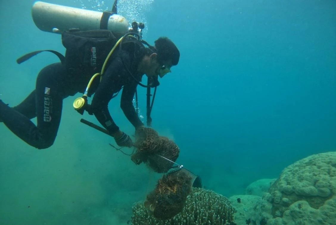 10 tac pham xuat sac dat giai cuoc thi Hanh dong vi dai duong xanh hinh anh