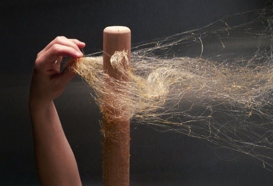 'Soi to cot trai tim nguoi' hinh anh